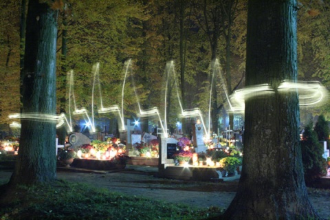 Kliknij na zdjęcie, żeby zobaczyć w pełnych wymiarach