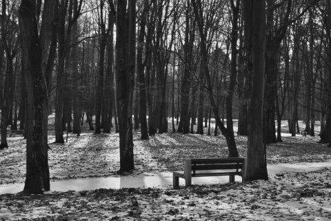 Kliknij na zdjęcie, żeby zobaczyć w pełnych wymiarach