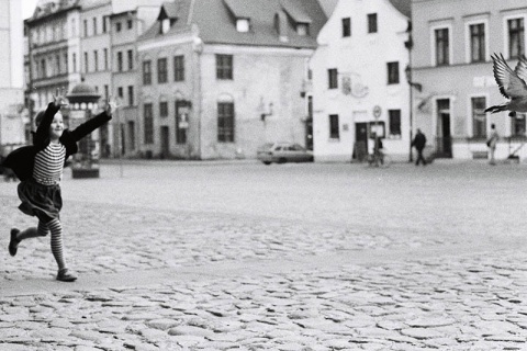 Kliknij na zdjęcie, żeby zobaczyć w pełnych wymiarach