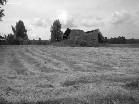 Kliknij na zdjęcie, żeby zobaczyć w pełnych wymiarach