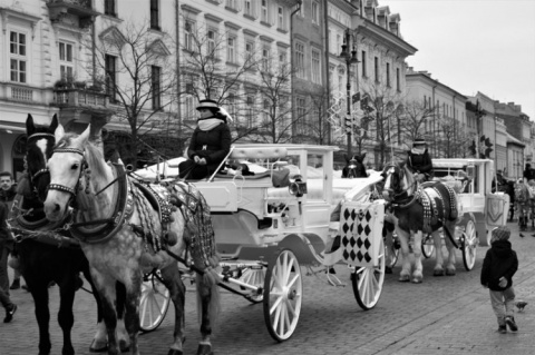 Kliknij na zdjęcie, żeby zobaczyć w pełnych wymiarach