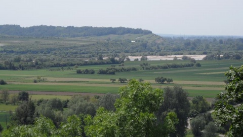 Kliknij na zdjęcie, żeby zobaczyć w pełnych wymiarach