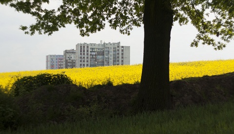 Kliknij na zdjęcie, żeby zobaczyć w pełnych wymiarach