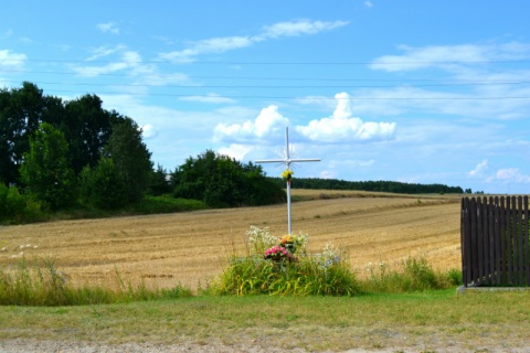 Kliknij na zdjęcie, żeby zobaczyć w pełnych wymiarach