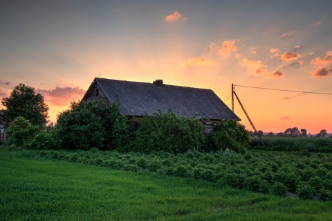 Kliknij na zdjęcie, żeby zobaczyć w pełnych wymiarach