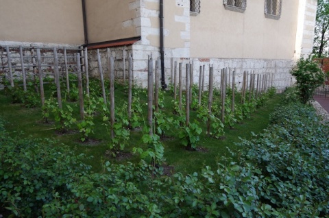 Kliknij na zdjęcie, żeby zobaczyć w pełnych wymiarach