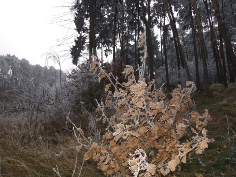 Kliknij na zdjęcie, żeby zobaczyć w pełnych wymiarach