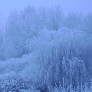 Kliknij na zdjęcie, żeby zobaczyć w pełnych wymiarach