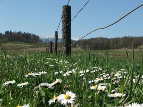 Kliknij na zdjęcie, żeby zobaczyć w pełnych wymiarach