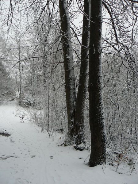 Kliknij na zdjęcie, żeby zobaczyć w pełnych wymiarach