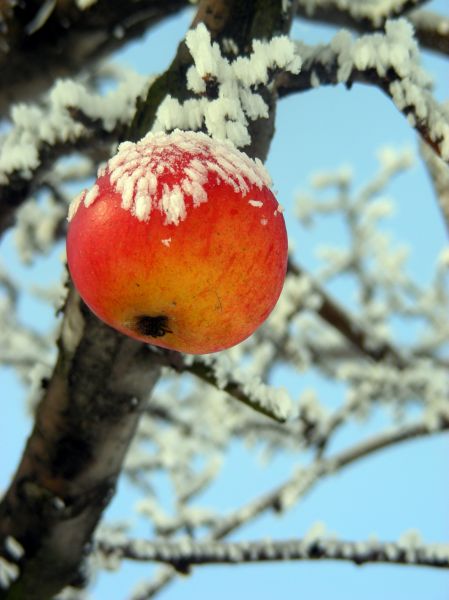 Kliknij na zdjęcie, żeby zobaczyć w pełnych wymiarach