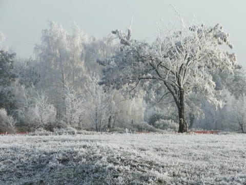 Kliknij na zdjęcie, żeby zobaczyć w pełnych wymiarach