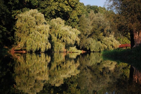 Kliknij na zdjęcie, żeby zobaczyć w pełnych wymiarach