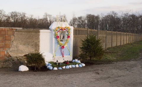 Kliknij na zdjęcie, żeby zobaczyć w pełnych wymiarach