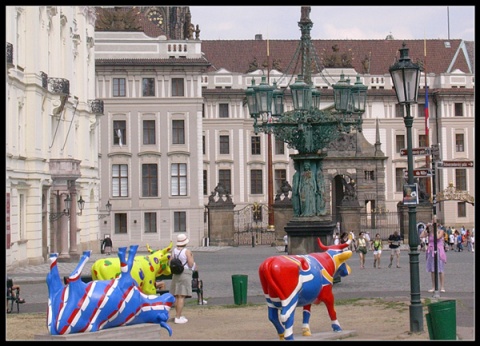 Kliknij na zdjęcie, żeby zobaczyć w pełnych wymiarach