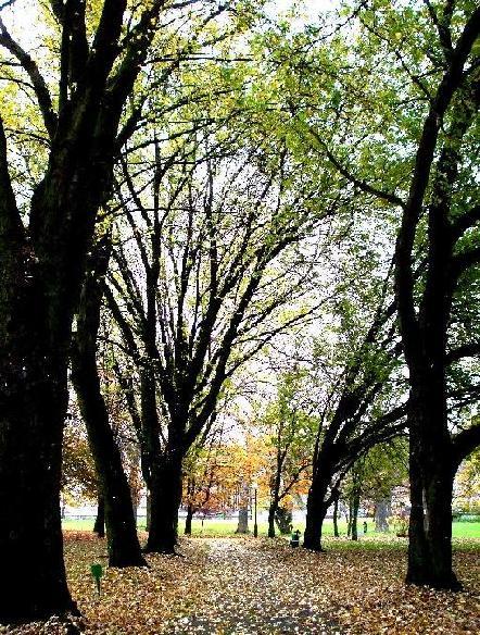 Kliknij na zdjęcie, żeby zobaczyć w pełnych wymiarach