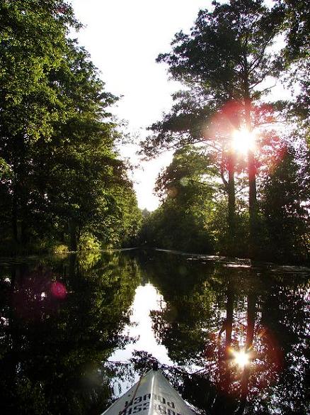 Kliknij na zdjęcie, żeby zobaczyć w pełnych wymiarach