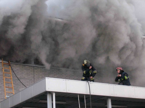 Kliknij na zdjęcie, żeby zobaczyć w pełnych wymiarach