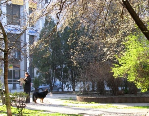 Kliknij na zdjęcie, żeby zobaczyć w pełnych wymiarach