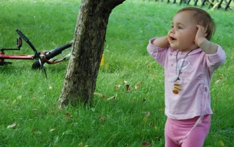 Kliknij na zdjęcie, żeby zobaczyć w pełnych wymiarach