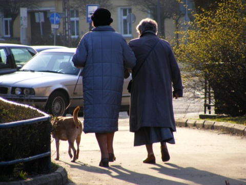 Kliknij na zdjęcie, żeby zobaczyć w pełnych wymiarach