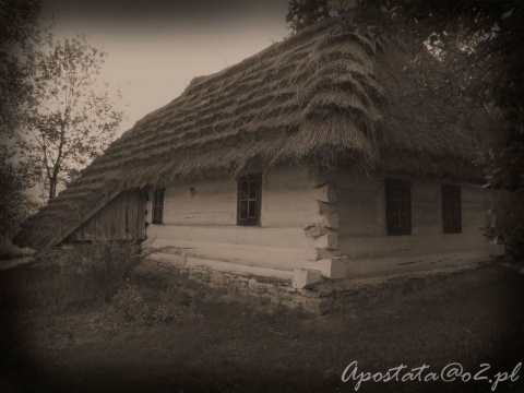 Kliknij na zdjęcie, żeby zobaczyć w pełnych wymiarach