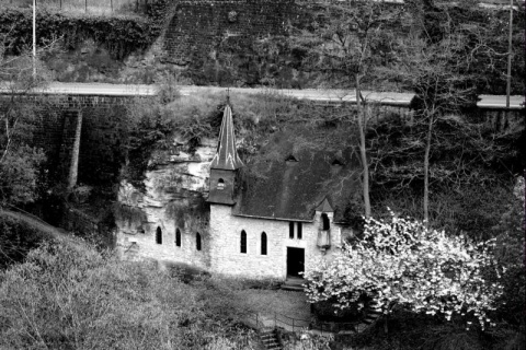 Kliknij na zdjęcie, żeby zobaczyć w pełnych wymiarach