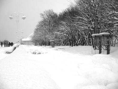 Kliknij na zdjęcie, żeby zobaczyć w pełnych wymiarach