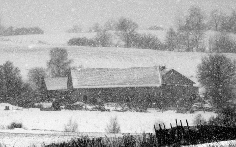 Kliknij na zdjęcie, żeby zobaczyć w pełnych wymiarach