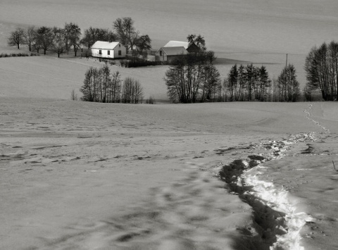 Kliknij na zdjęcie, żeby zobaczyć w pełnych wymiarach