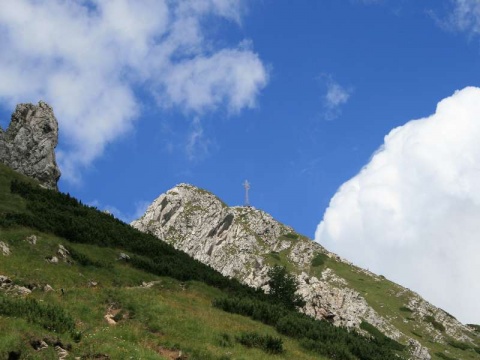 Kliknij na zdjęcie, żeby zobaczyć w pełnych wymiarach