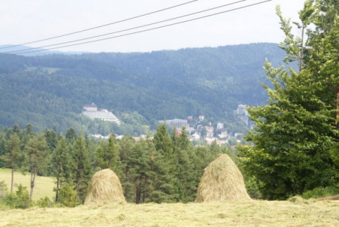 Kliknij na zdjęcie, żeby zobaczyć w pełnych wymiarach