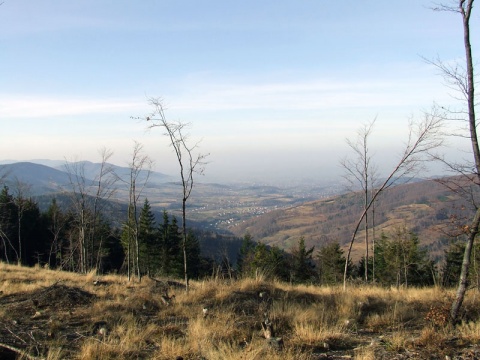 Kliknij na zdjęcie, żeby zobaczyć w pełnych wymiarach