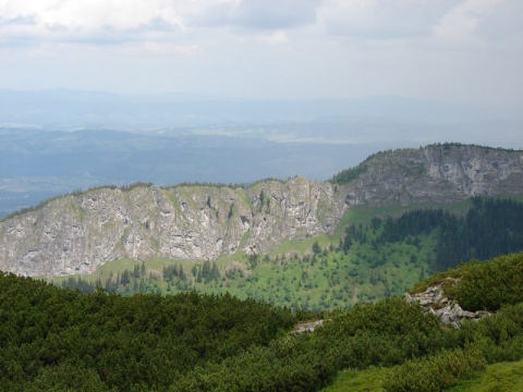 Kliknij na zdjęcie, żeby zobaczyć w pełnych wymiarach