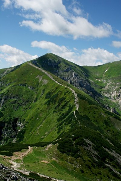 Kliknij na zdjęcie, żeby zobaczyć w pełnych wymiarach