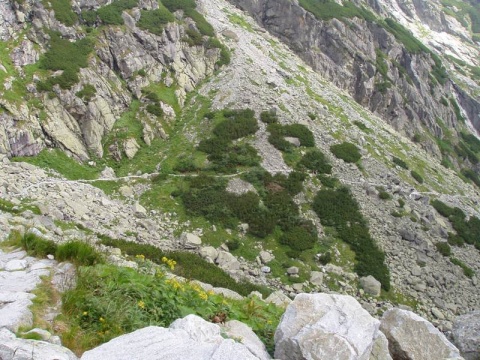 Kliknij na zdjęcie, żeby zobaczyć w pełnych wymiarach