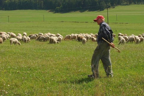 Kliknij na zdjęcie, żeby zobaczyć w pełnych wymiarach