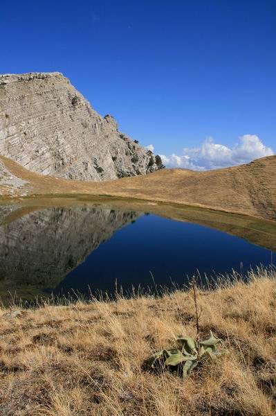 Kliknij na zdjęcie, żeby zobaczyć w pełnych wymiarach