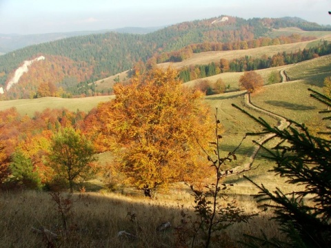 Kliknij na zdjęcie, żeby zobaczyć w pełnych wymiarach