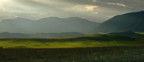 Kliknij na zdjęcie, żeby zobaczyć w pełnych wymiarach