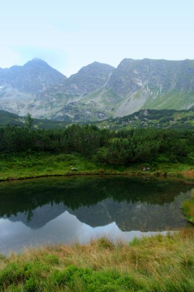 Kliknij na zdjęcie, żeby zobaczyć w pełnych wymiarach