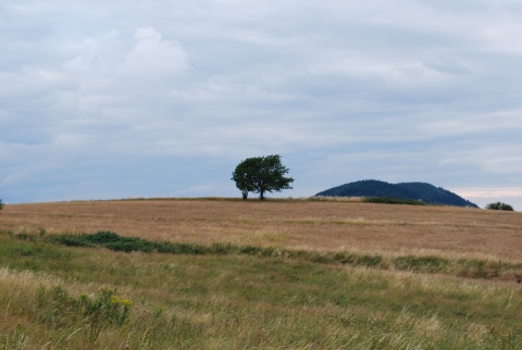 Kliknij na zdjęcie, żeby zobaczyć w pełnych wymiarach