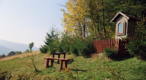 Kliknij na zdjęcie, żeby zobaczyć w pełnych wymiarach