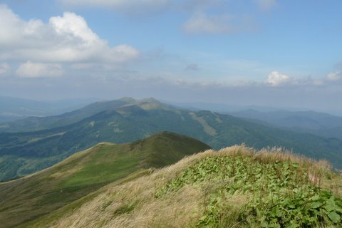 Kliknij na zdjęcie, żeby zobaczyć w pełnych wymiarach