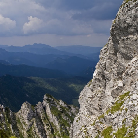 Kliknij na zdjęcie, żeby zobaczyć w pełnych wymiarach