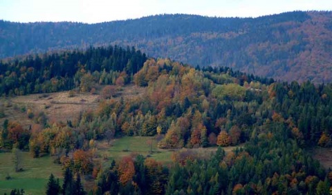 Kliknij na zdjęcie, żeby zobaczyć w pełnych wymiarach