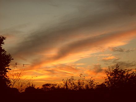 Kliknij na zdjęcie, żeby zobaczyć w pełnych wymiarach