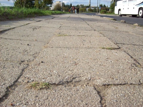 Kliknij na zdjęcie, żeby zobaczyć w pełnych wymiarach