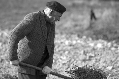 Kliknij na zdjęcie, żeby zobaczyć w pełnych wymiarach