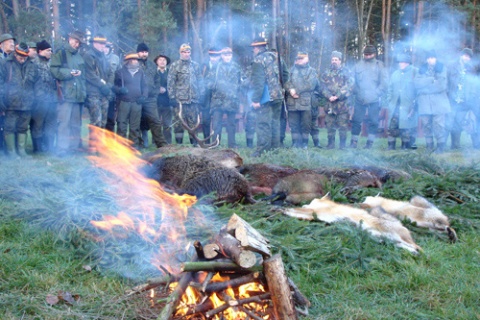 Kliknij na zdjęcie, żeby zobaczyć w pełnych wymiarach